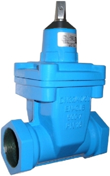 EFEKT SA resilient seated service connection valves Waste water treatment wedge is vulcanized female thread from Ductile Iron Stainless Steel stem socket joints fast assembly portable drinking water internal thread 2" 1" easy and safe way of connecting